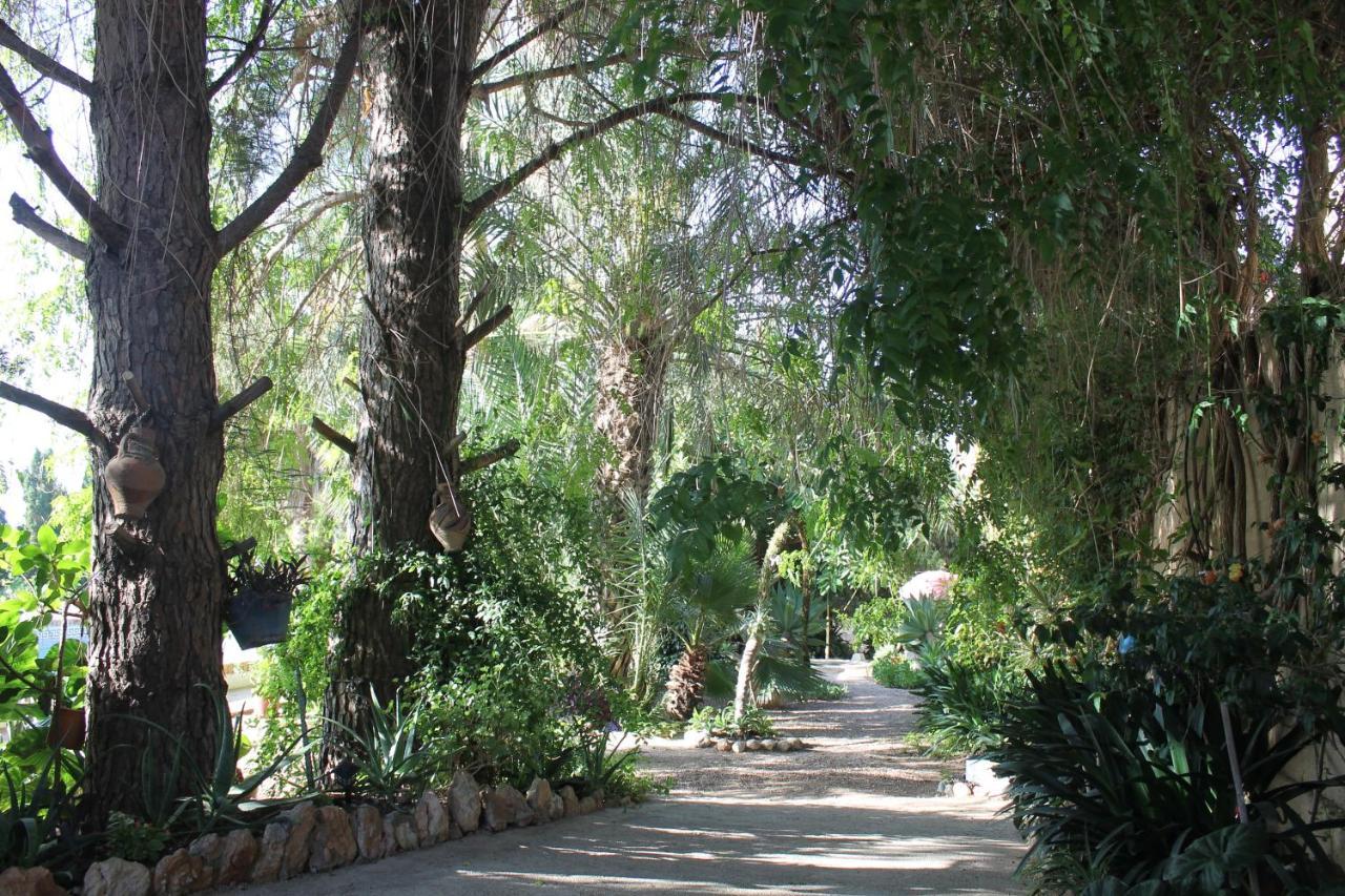 Casa Rural Complex Masia Del Tremendo Y Agroturismo 卡马尔莱斯 外观 照片
