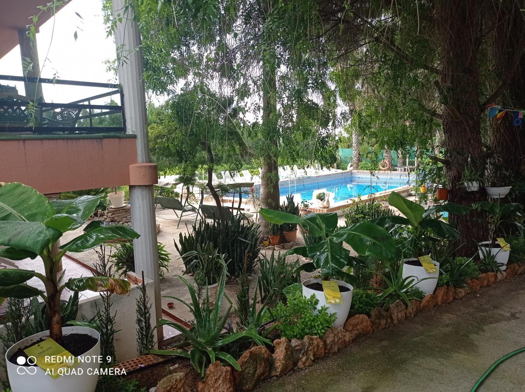 Casa Rural Complex Masia Del Tremendo Y Agroturismo 卡马尔莱斯 外观 照片